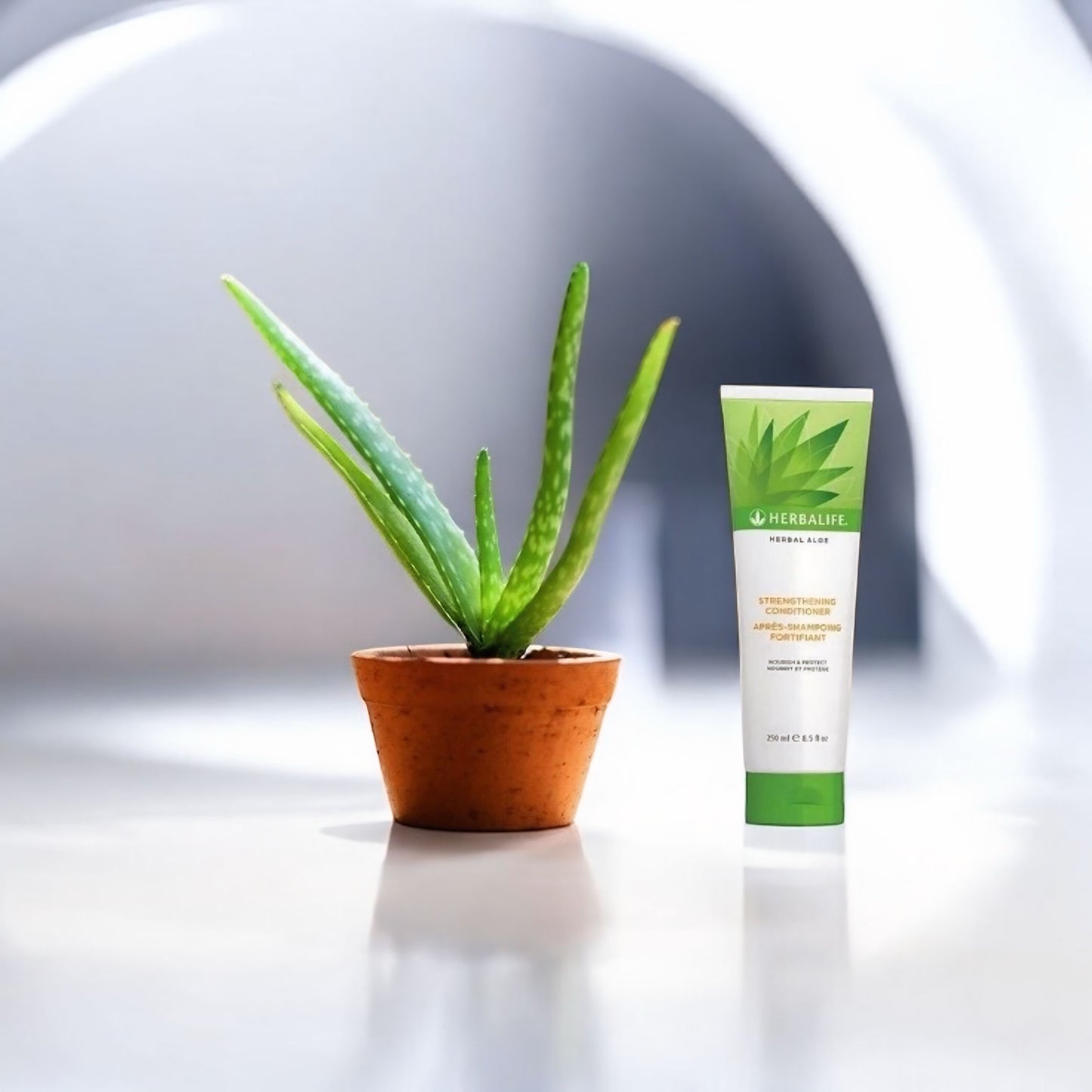 Herbalife aloe balsamo fortificante 250 ml - Herbalife
